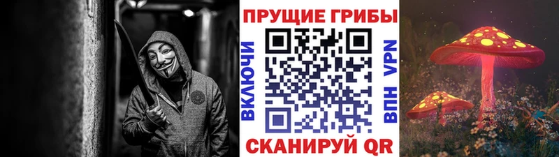 Псилоцибиновые грибы Psilocybe  Салехард 
